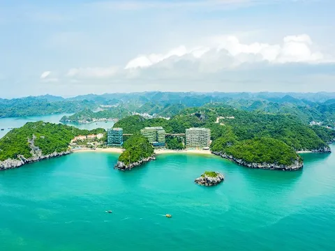 Bật mí lý do Flamingo Cát Bà được khách du lịch săn đón