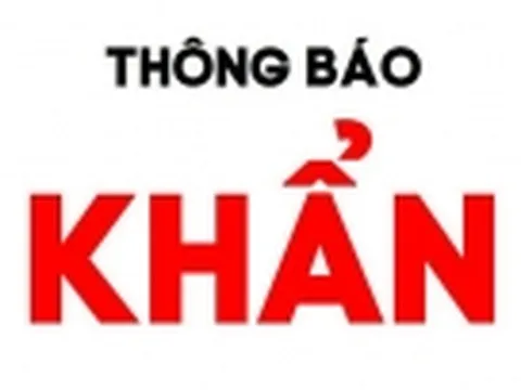 Khẩn: Bộ Y tế thông báo tìm người trên chuyến bay VJ3613 từ Nhật Bản về Đà Nẵng ngày 7/4