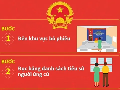 Quy trình 6 bước cử tri thực hiện khi đi bầu cử