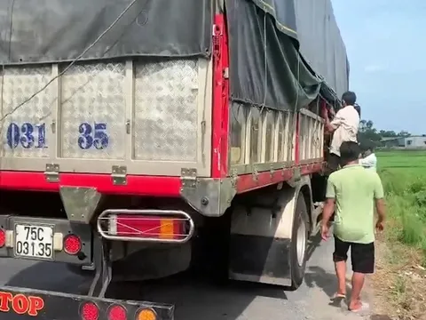 Phát hiện xe tải chở 8 người ẩn nấp trong thùng để trốn khai báo y tế