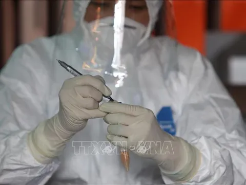 Hà Nội ghi nhận thêm 3 ca dương tính tại ổ dịch chợ Cửa hàng mới