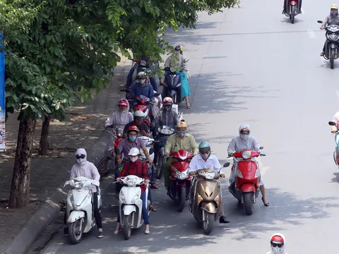 Dừng đèn đỏ dưới tán cây tránh nắng nóng có thể bị phạt đến 300.000 đồng?