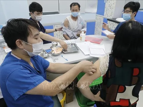 Chiều 24/6, Việt Nam có 116 ca mắc mới COVID-19, trong đó Hải Phòng có 1 ca