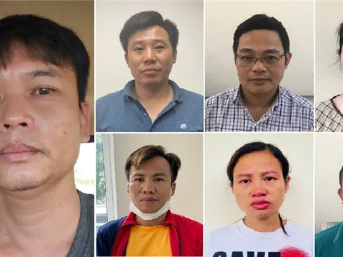 Khởi tố Tổng giám đốc Công ty Công viên cây xanh Hà Nội vì nâng khống giá cây