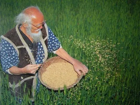 Trong đại dịch, nghĩ về quan hệ giữa Con người với Tự nhiên