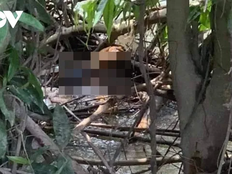 Bình Dương: Tìm thấy thi thể bé trai 2 tuổi mất tích dưới con suối gần nhà