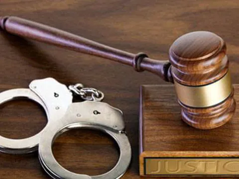 Hà Nội: 8 bị cáo trong đường dây làm giả giấy khám sức khỏe lĩnh án tù