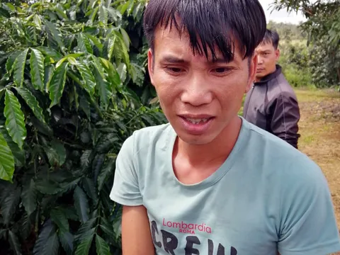 Tạm giữ đối tượng đột nhập vào nhà khống chế, hiếp dâm chủ nhà rồi cướp tài sản