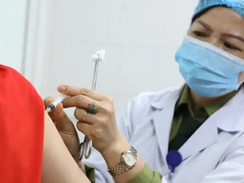 8 nguyên tắc để thích ứng an toàn với đại dịch COVID-19