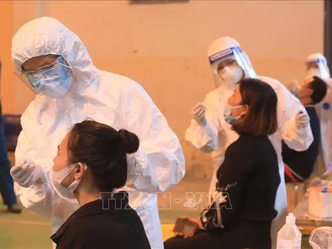 Ngày 2/11, Việt Nam ghi nhận 5.637 ca nhiễm SARS-CoV-2 và 74 ca tử vong