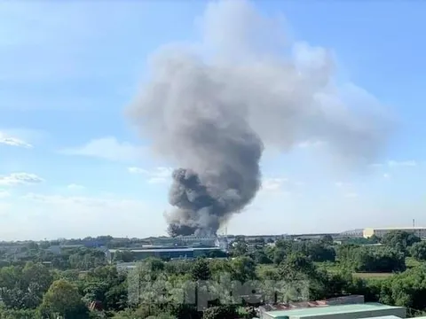 Bình Dương: Cháy lớn tại công ty gỗ rộng 10.000m2, 3 người bị bỏng