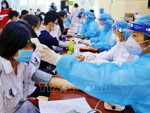 Ngày 14/11, Việt Nam ghi nhận 8.176 ca mắc mới COVID-19, thêm 5.257 người khỏi bệnh