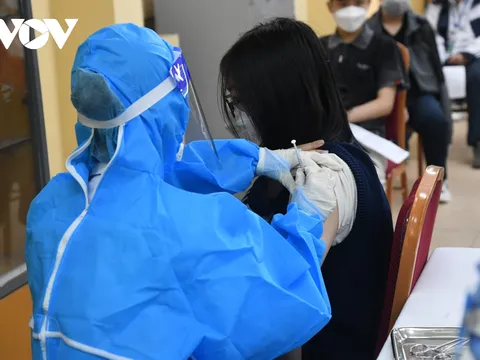 Hà Nội tạm dừng tiêm 2 lô vaccine Pfizer được gia hạn thêm 3 tháng