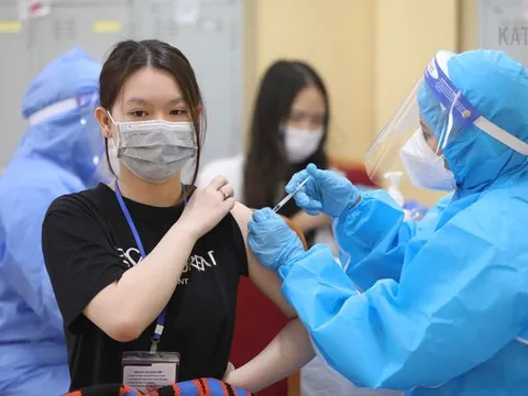 Bộ Y tế: Việt Nam đàm phán nguồn vaccine phòng COVID-19 tiêm cho trẻ 5-11 tuổi