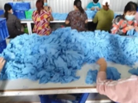 Bắt Tổng giám đốc Công ty Đông Nam Á chiếm đoạt hơn 1 triệu USD