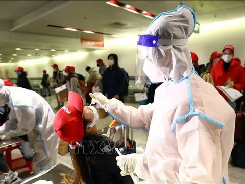 Hạn chế chuyến bay trọn gói về Nội Bài, Tân Sơn Nhất để tránh ùn tắc khi xét nghiệm COVID-19