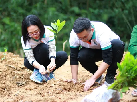 ABBANK khởi động chương trình Tết an bình năm thứ 13 - 'Gieo mầm xanh hy vọng'