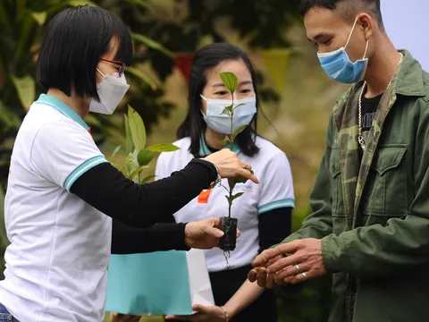 Tết An Bình 2022: 'Gieo mầm xanh hy vọng'