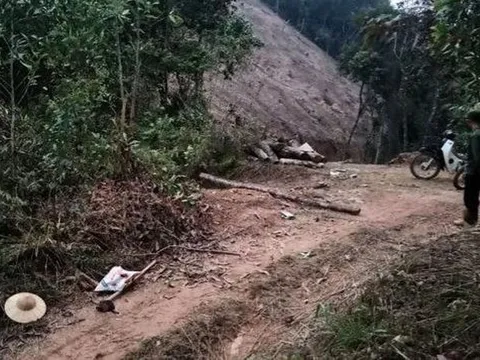 Lạng Sơn: Cặp vợ chồng bị bắn trọng thương khi dừng xe đẩy khúc gỗ