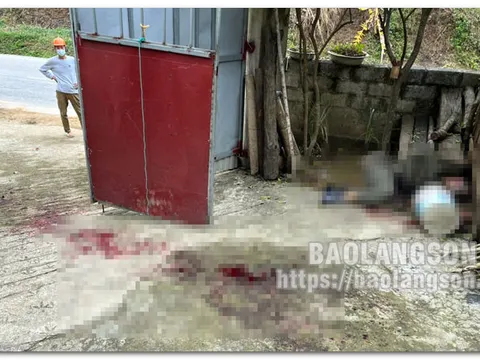 Lạng Sơn: Em trai đâm anh ruột tử vong vì tranh chấp đất vườn