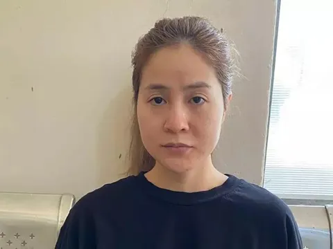 Bắt Chủ tịch Tập đoàn Việt Hưng Phát lừa đảo 650 tỷ đồng