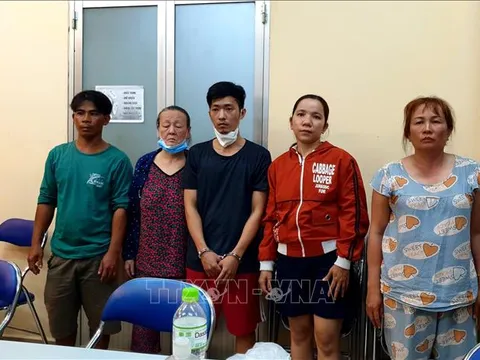 Giúp việc dẫn đồng bọn xông vào biệt thự cướp 2 tỷ đồng