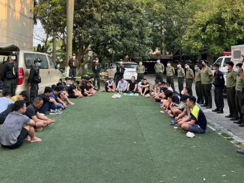 Triệt phá sới gà núp sâu trong trang trại ở Vĩnh Phúc, bắt hơn 40 đối tượng