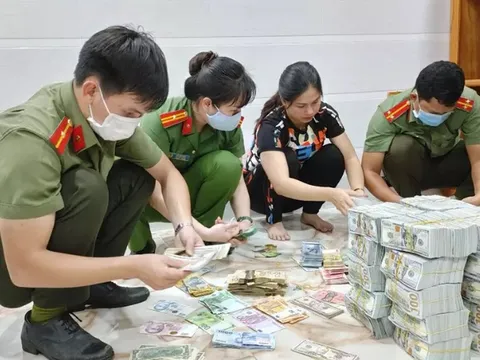 An Giang: Công an mở rộng điều tra các vụ án trốn thuế