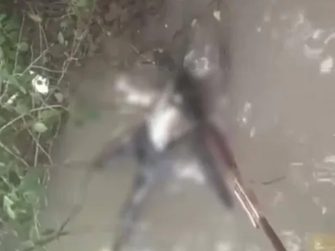 Phát hiện thi thể không đầu nổi trên sông ở Cà Mau