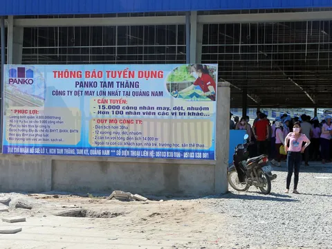 Quảng Nam: Xây dựng công trình không phép, 2 doanh nghiệp bị phạt 260 triệu đồng