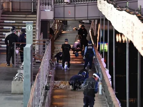 Xét xử vụ người Việt bị sát hại ở Osaka (Nhật Bản): Tòa án ra phán quyết 12 năm tù giam