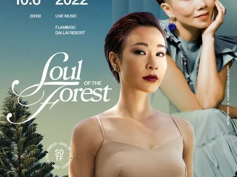 Soul of the Forest: Chuỗi đêm nhạc đỉnh cao giữa thiên nhiên Đại Lải