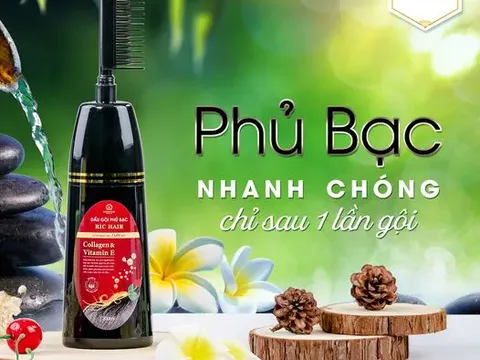 Dầu gội phủ bạc RIC HAIR giải pháp đột phá giúp phủ bạc cho mái tóc