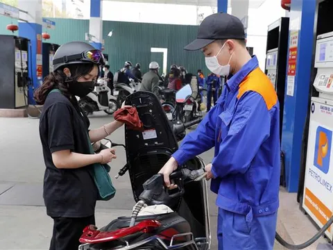 Triển khai ngay Nghị quyết về mức thuế bảo vệ môi trường đối với xăng, dầu, mỡ nhờn