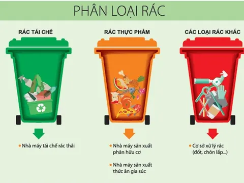 Từ ngày 25/8, không phân loại rác sinh hoạt bị phạt đến 1 triệu đồng