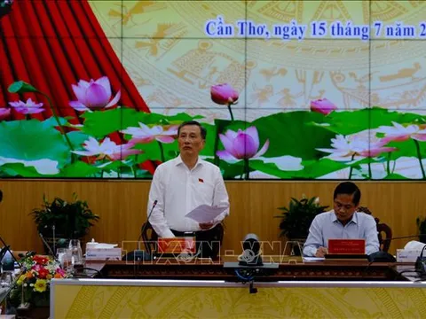 Giám sát thực hiện chính sách, pháp luật về bảo vệ quyền lợi người tiêu dùng