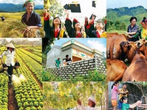 Thông tin chỉ đạo, điều hành của Chính phủ, Thủ tướng Chính phủ ngày 4/8