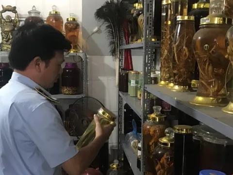 Quản lý thị trường Hà Nội thu giữ gần 650 lít rượu không rõ nguồn gốc xuất xứ