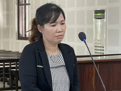 Tổ chức cho người Hàn Quốc ở lại Việt Nam trái phép, người phụ nữ bị phạt 30 tháng tù