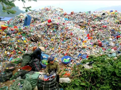 Những quy định mới về xử phạt vi phạm môi trường kể từ ngày 25/8