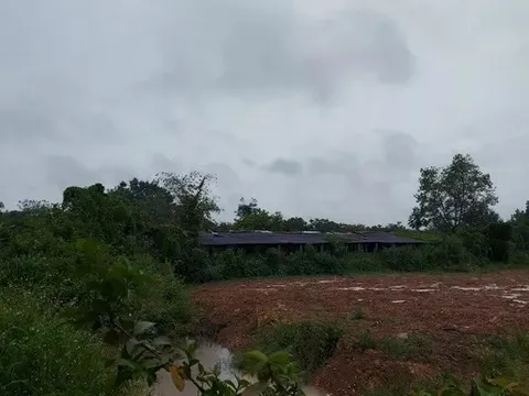 Phát hiện thi thể nam giới trong lò mổ heo ở Bình Phước