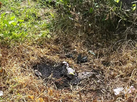 Bình Dương: Phát hiện thi thể trẻ sơ sinh bị đốt cháy trong bụi cỏ gần bệnh viện