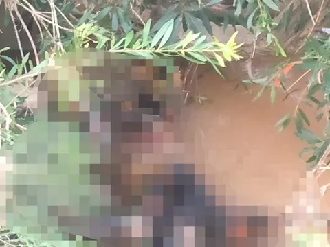 Phát hiện thi thể người đàn ông đang phân huỷ dưới suối ở Gia Lai