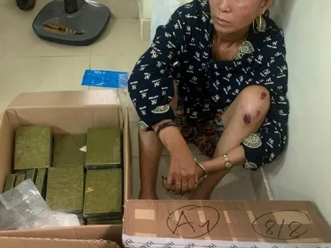 Triệt phá đường dây ma túy xuyên quốc gia ở Hải Phòng, thu giữ 56 bánh heroin