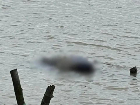 Tìm thấy thi thể nam thanh niên 18 tuổi trên sông Lam sau 2 ngày mất tích