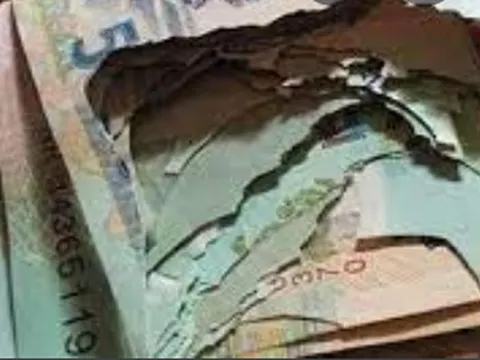 Xấp tiền bị chuột cắn rách, có được mang ra ngân hàng đổi?
