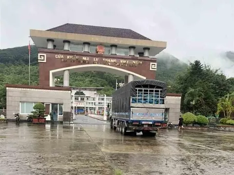 Thủ tướng Chính phủ ra Công điện về việc chấn chỉnh, xử lý các hành vi tiêu cực liên quan hoạt động xuất, nhập khẩu