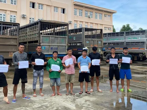 Tạm giữ nhóm đối tượng chuyên đánh tráo heo thịt để trục lợi ở Bình Dương