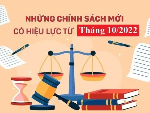 Những chính sách mới nổi bật có hiệu lực từ tháng 10/2022