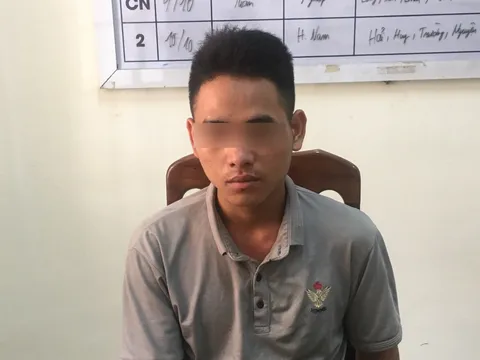 Bắt giữ nghi phạm sát hại mẹ vợ vì mâu thuẫn việc góp tiền nuôi con